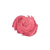 Amore Metallic Lip Creme - Automattic Touch