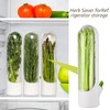 3Pcs Fresh Herb Keepers, Reusable Herb Storage Container Waterproof Herb