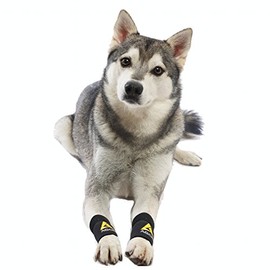 AGON® Pair Dog Canine Front Leg Brace Paw Compression Wraps with Protects Wounds Brace Heals and Prevents Injuries and Sprains Helps with Loss of Stability Caused by Arthritis (XX-Small/X-Small)