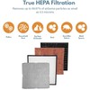 Filter-Monster – Pet Allergen Air Filter Replacement Kit - Replacement