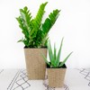 ZJMTOCYU Stylish and Functional Self-Watering Planter, Hand-Woven Wicker, 2-Pack for