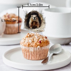 18pcs Brown Glitter Cute Animal Groundhog Dessert Cupcake Topper Pink for Happy Groundhog Day Theme Decorations Baby Shower Boy Girl Birthday Party Decor Supplies