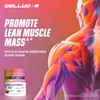 Cellucor Cellucor Creatine Powder, Fruit Punch Flavor - Increases Strength,