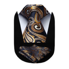 HISDERN Extra Long Floral Paisley Tie Handkerchief Men's Necktie & Pocket Square Set ,Navy Blue & Gold,XL, 63 inches length