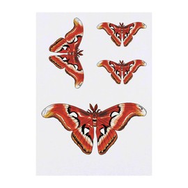 4 x 'Atlas Silk Moth' Temporary Tattoos - Water Resistant, Skin-Safe, Non-Toxic Transfers, Mixed Sizes (TO00065226)