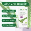 AloeCure AloeCure USDA Organic Aloe Vera Juice Grape Flavor, Made