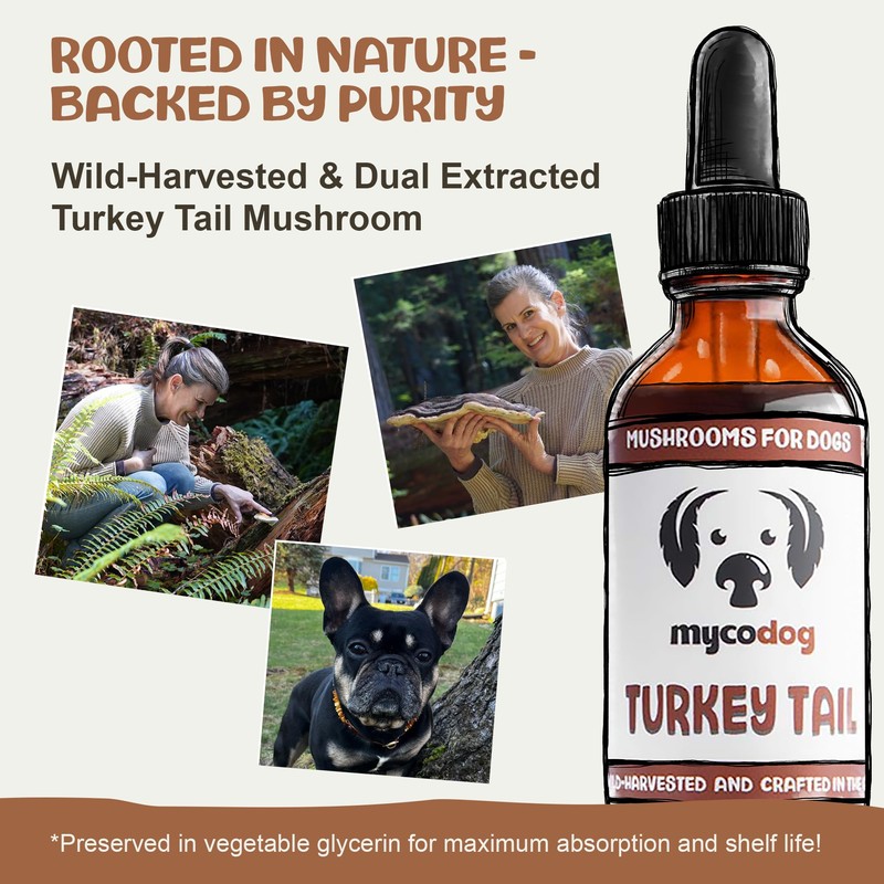 MycoDog Turkey Tail Mushroom Supplement for Dogs - Immune &