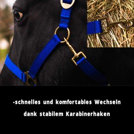 Halter for Horses Warmblood, Thoroughbred, Cold Blood - Stable Halter, Pasture Halter, 2 Adjustable Positions on Chin Strap and Headpiece, Safe and Tear-Resistant (Royal Blue, Warmblood (Full))