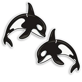 2 x 10cm Killer Whale Vinyl Stickers - Orca Fun Ocean Sea Laptop Sticker #20880 (10cm Wide)