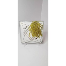 Studio His & Hers WHITE 50 Pyramid Favor Boxes Gold Ribbons Wedding Gold Foil Accents Letters D9