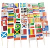 Pack of 100 Germany Flag Small, Germany Flag Toothpick with