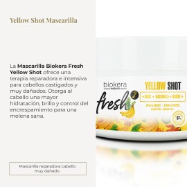 Mascarilla Capilar Salerm Deep Repair Biokera Fresh Yellow S