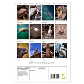 Wildlife - Die Tierwelt der Galapagos Inseln (Wandkalender 2026 DIN A4 hoch), CALVENDO Monatskalender