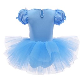 Dressy Daisy Princess Ballet Dance Costume Leotard Tutu Dress for Little Girls White Apron Tulle Skirt Size 5T 6, Blue