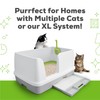 Purina Tidy Cats Breeze Litter System Cat Refill Bundle -