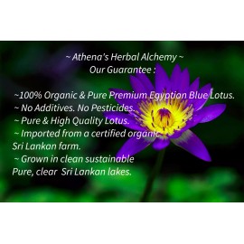 Athena's Herbal Alchemy Egyptian Blue Lotus Whole Flowers 100%  Organic Nymphaea Caerulea Tea- 14g