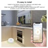 Water Leak Detector, Intelligent Linkage Alarm Break in Case Zigbee