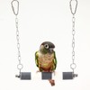 Ceramic Claw Grinding Perch for Cockatiels & Small Birds, Removable