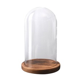 RayinblueTransparent Glass Plant Display Cloche Bell Jar Dome With Bamboo Wooden Base Tray Multi Sizes (D11*H20CM)