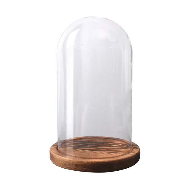 RayinblueTransparent Glass Plant Display Cloche Bell Jar Dome With Bamboo