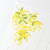 Nubby Single Stroke Notes, Spring 5 Collections, Swaying in the