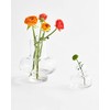 MARIMEKKO Clear Glass Flower Vase — Upgrade Your Home Decor