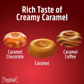 Werther's Original Caramel Hard Candy Assorted Flavors, 2 Pack of Individually Wrapped Sugar Free Werther's Hard Candy, 7.7oz Each, Perfect Werthers Candy for Sharing or Stocking Up