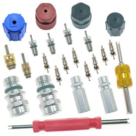 BIHYNGAIR Air Conditioning Valve Core Kit, AC Service Valve Core Kit, Air Conditioning Schrader Valve with Valve Core Removal Tool, Cap and Valve AC System Charging Port Seal Caps Kit (24PCS)