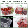 Qinyoung 100 Pack Berry Containers 1 Pound Plastic Fruit Containers