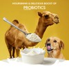 Pawfect Nature's Sip Camel Milk for Dogs - Made with
