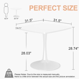 DKLGG Square Dining Table for 2-4 Person, 32 Inches Kitchen Table Tulip Dining Table MDF and Metal Legs for Kitchen & Dining Room Table, White