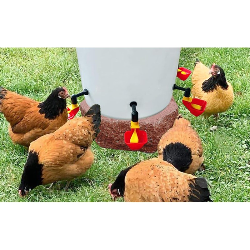 4pcs Large Automatic Chicken Waterer Cups DIY Poultry Chicken Waterer