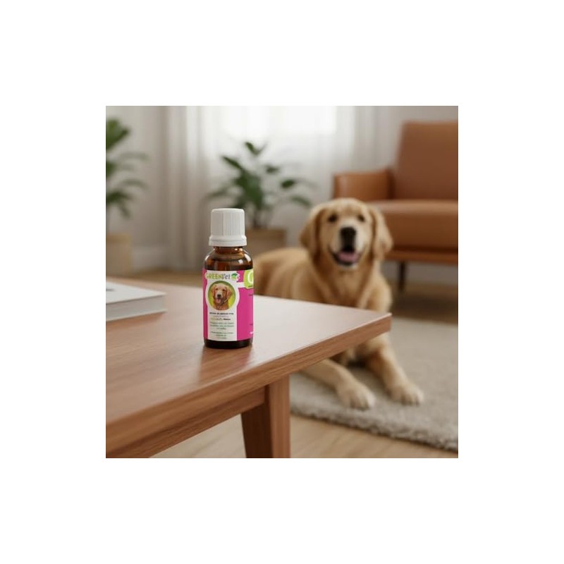 Gastro help, Antigastritis para perros