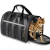 Airline Approved Cat Carrier for Small & Medium Pets up