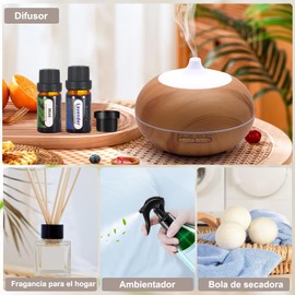 Woccatisy 6 Piezas Aceites Esenciales de Aromaterapia: 10ml Aceite de Aromas 6pcs Esencias para Difusor 100% Natural Aceite Esencial para Difusores y Humidificadores(Lavanda, Árbol de Té, Menta, Naranja Dulce, Hierba Limón, Rosa)
