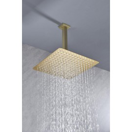 TREATLIFE HOME Enhance Your Shower Experience with High Pressure Rainfall Showerhead, Easy Clean Nozzle, Stainless Steel, Brushed Gold