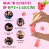 HMB and L-Leucine Gummies, 3000mg HMB and Leucine Amino Acid