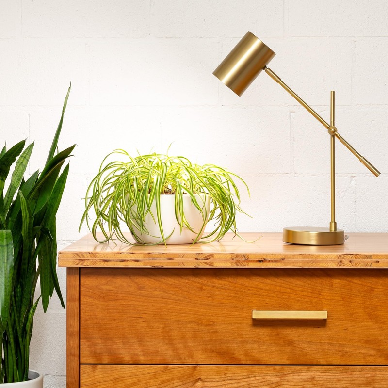 Back to the Roots Full Spectrum LED Grow Lights Value