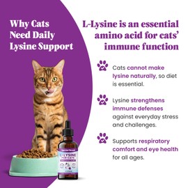 Special Breed L-Lysine for Cats & Kittens – Immune, Respiratory & Eye Health Support – Liquid Cat Supplement with Astragalus, Burdock, Atractylodes, Dangshen & Vitamins A, B1, B2, B6 – 2oz (60mL)