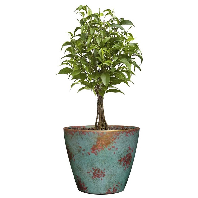 Classic Home and Garden 807-378R Vogue Planter, 8", Patina Copper
