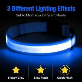 Illumifun LED Dog Collar, Fashion Rechargeable Dog Collar Glow in The Dark, Water-Resistant Safety Pet Collar for Your Dogs Walking at Night (Blue, Medium)