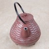 Creative Home Kyusu Cast Iron Tea Pot with Removable Stainless