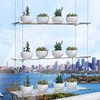 ZerzSemp 2-Pack Hanging Acrylic Plant Shelves for Windows, Each Tier