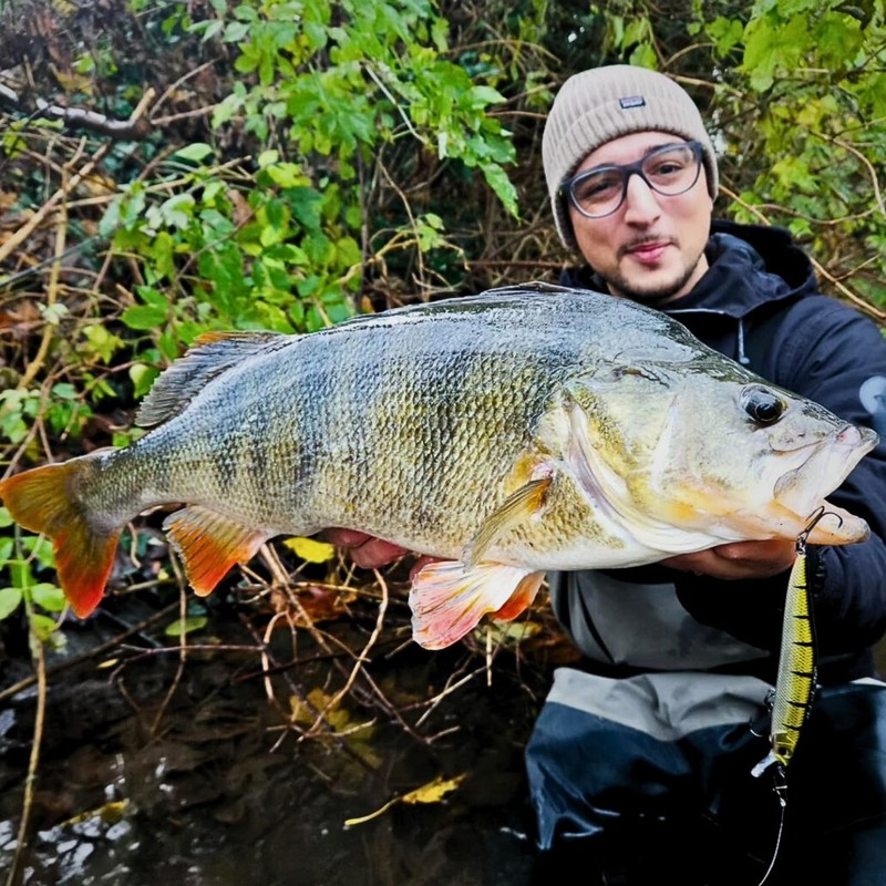 LMAB Flash Vibe 67, 80 & 98 mm - Twitchbait