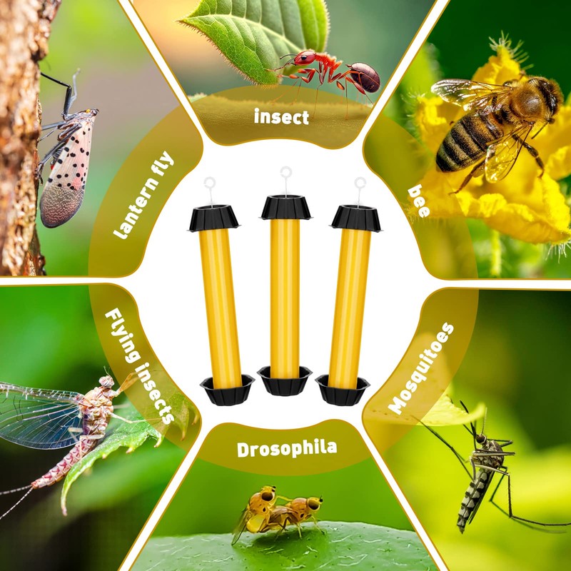 Qualirey Fly Traps for Indoor Outdoor Hanging Fruit Fly Stick