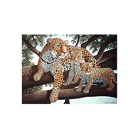 Royal Langnickel 30 x 40 cm Leopard Paint by Numbers
