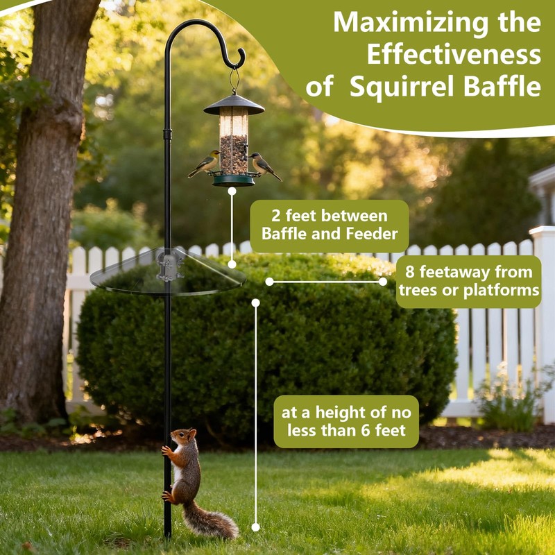 Stainless Steel Squirrel Baffle Bracket, Rustproof Chew-Proof Holder for Bird