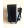 coming data 🔥29.4V Adapter Charger for hoverstar HS2.01 Bluetooth Flash