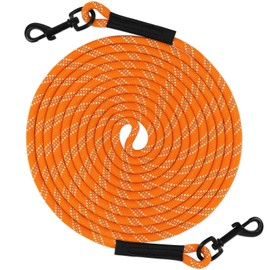 Taglory Dog Tie Out, Long Dog Leash 15FT 30FT 50FT 66FT, Recall Training Leash with 2 Swivel Hooks for Large Medium Small Dogs Walking, Camping, or Backyard, Orange 30FT