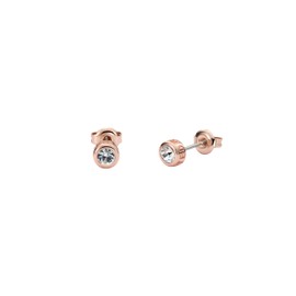 Ted Baker Sinee Mini Crystal Stud Earrings For Women (Rose Gold/Crystal)